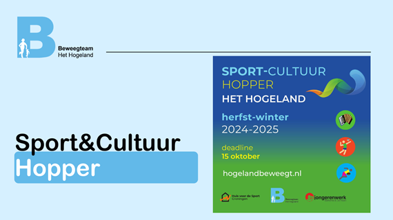 Website format Hogeland Beweegt 